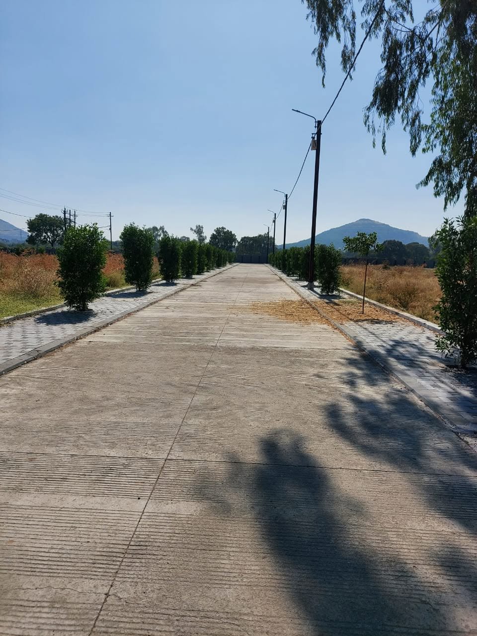 900 Sqft Plots